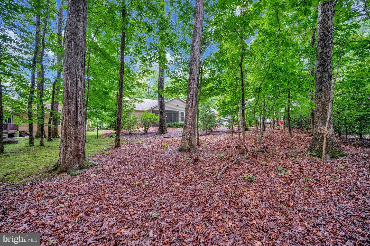 104 Gold Valley Road photo 37