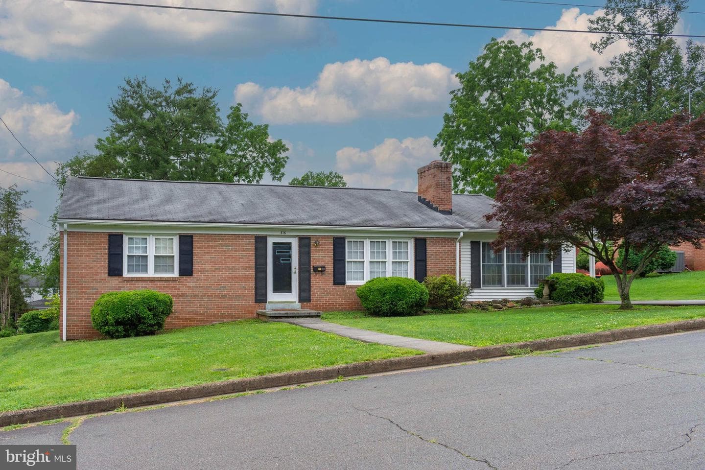 316 Mimosa Lane photo 4