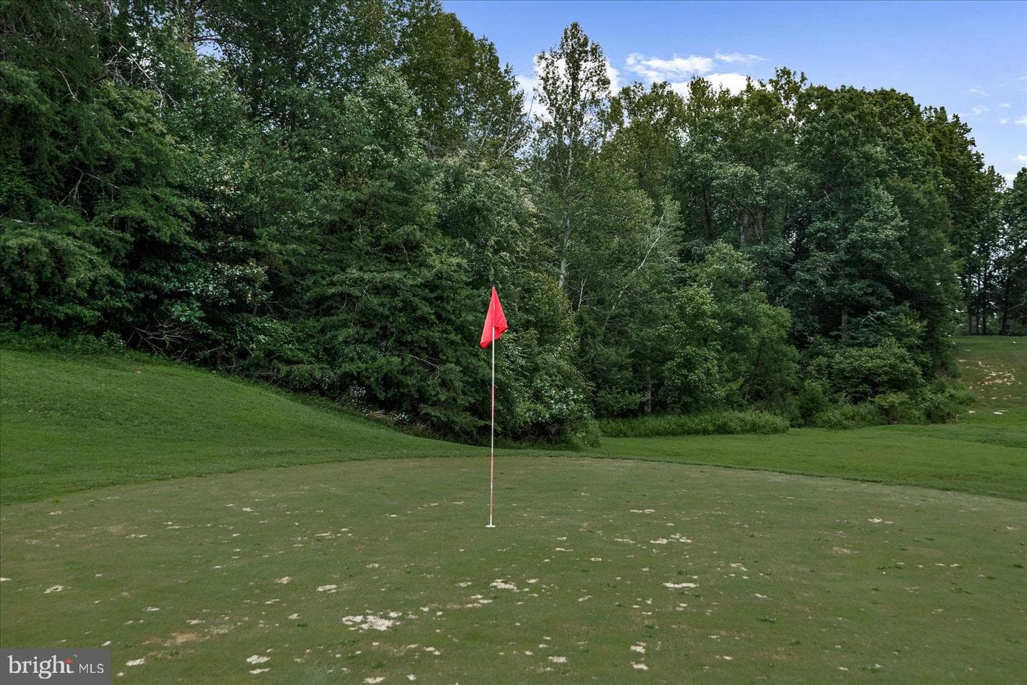 1461 Chesterfield Road photo 59
