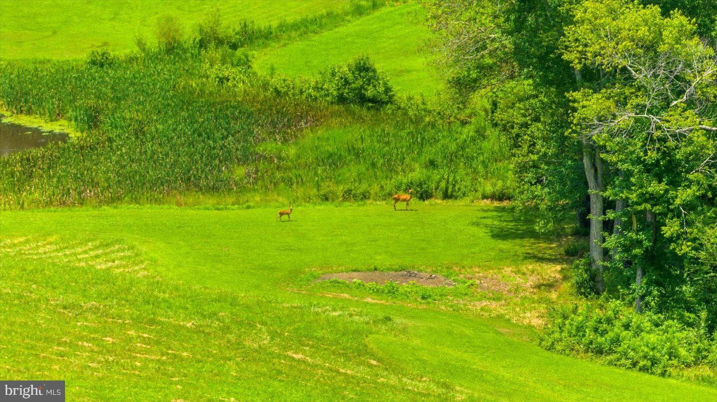 16150 Madison Run Road photo 34