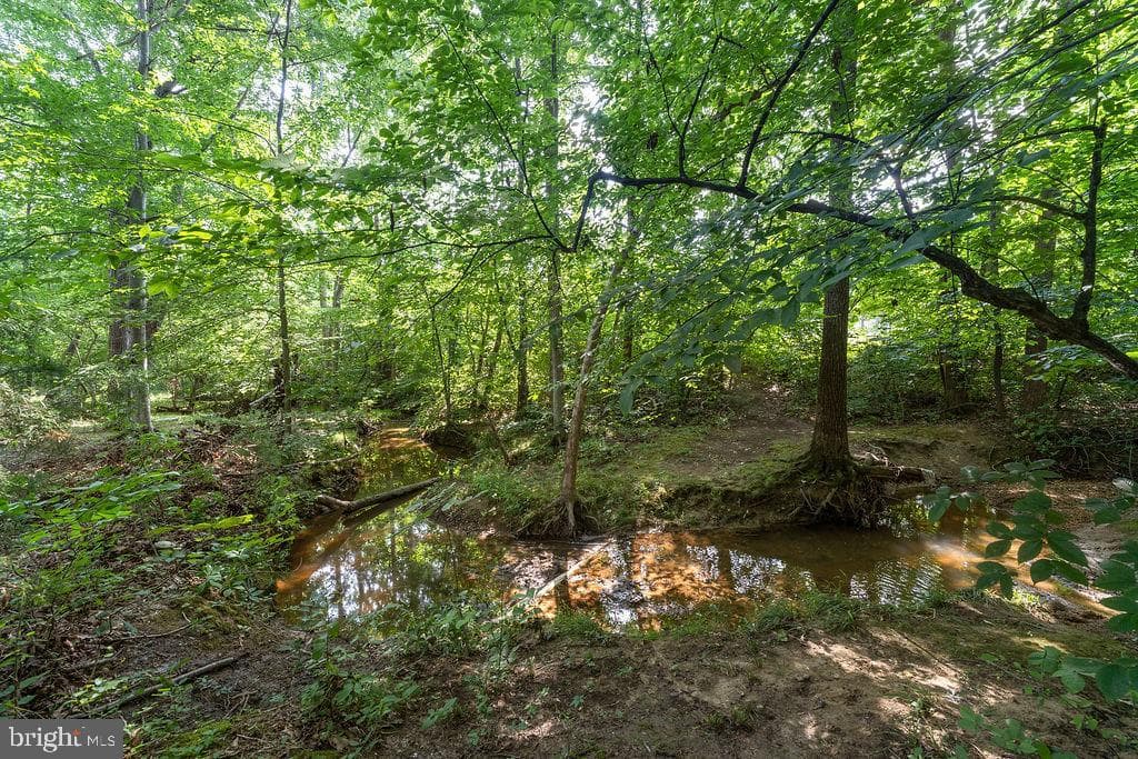 127 Saylers Creek Road photo 10
