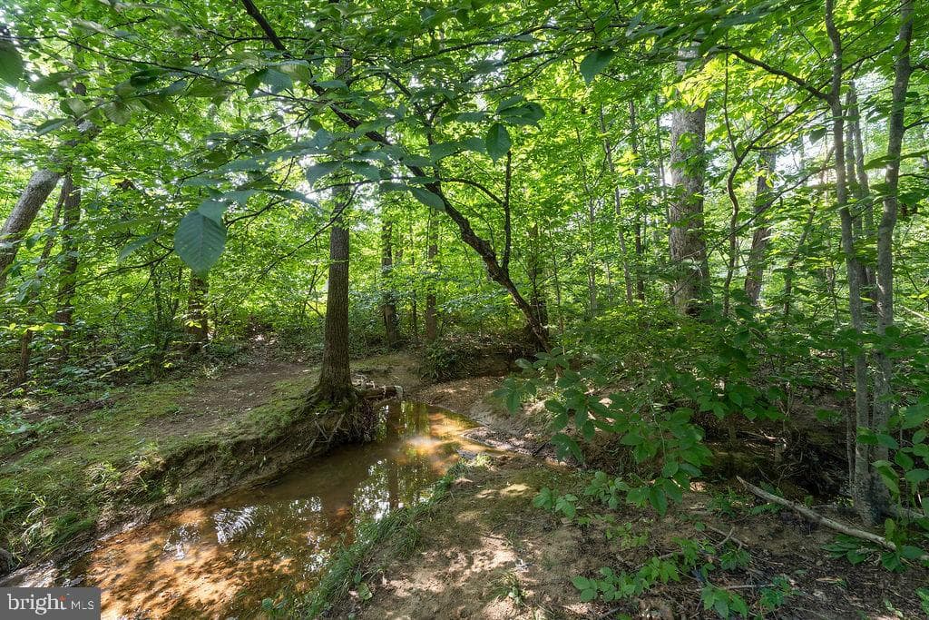 127 Saylers Creek Road photo 11