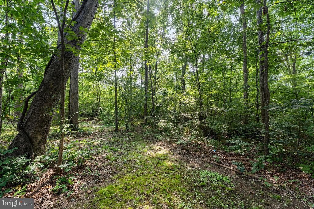 127 Saylers Creek Road photo 19