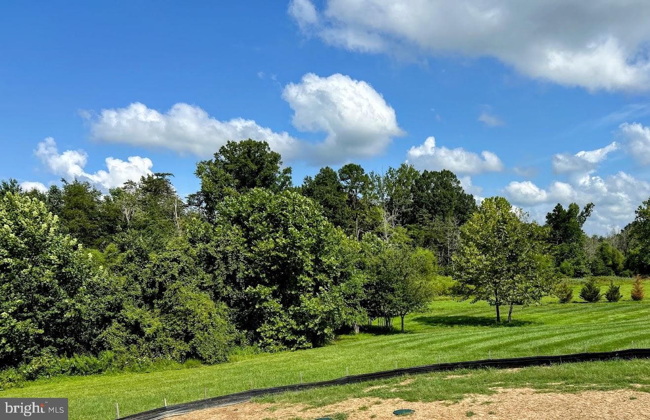 Tbd Lookout Circle photo 6