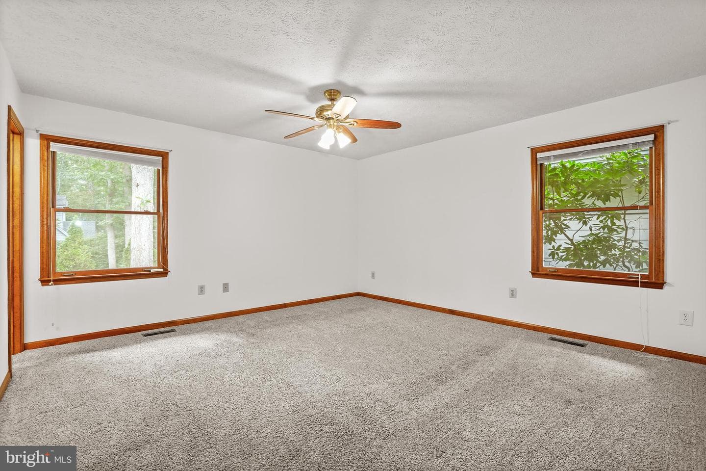 119 Larkspur Lane photo 23