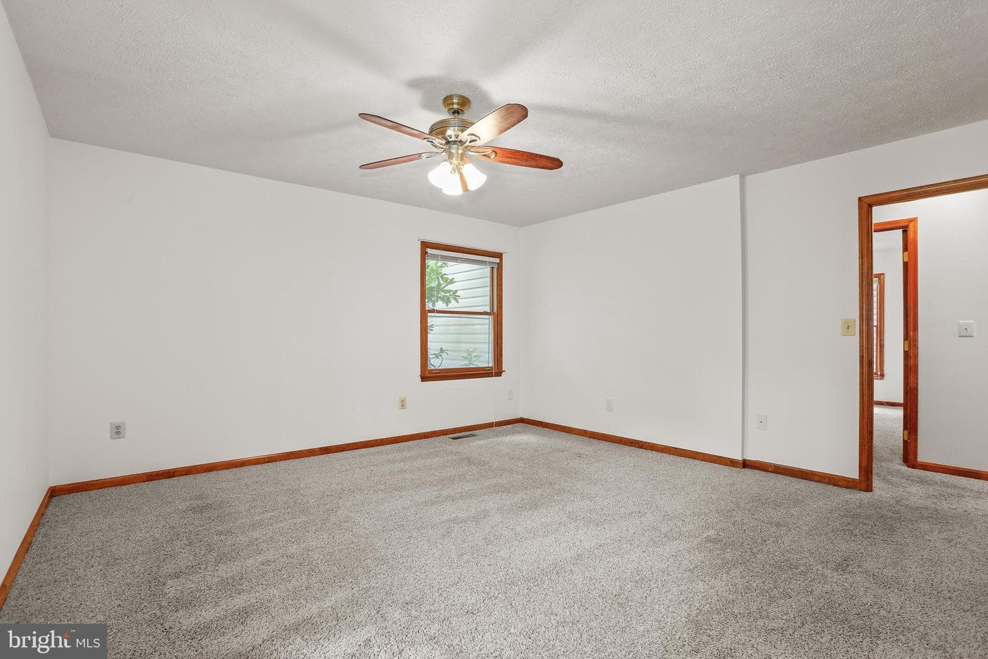 119 Larkspur Lane photo 24