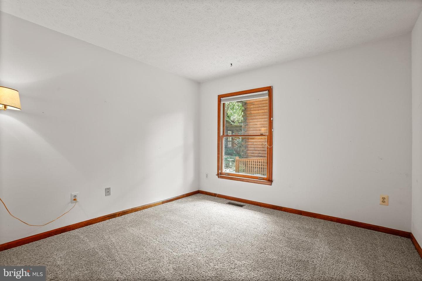 119 Larkspur Lane photo 28