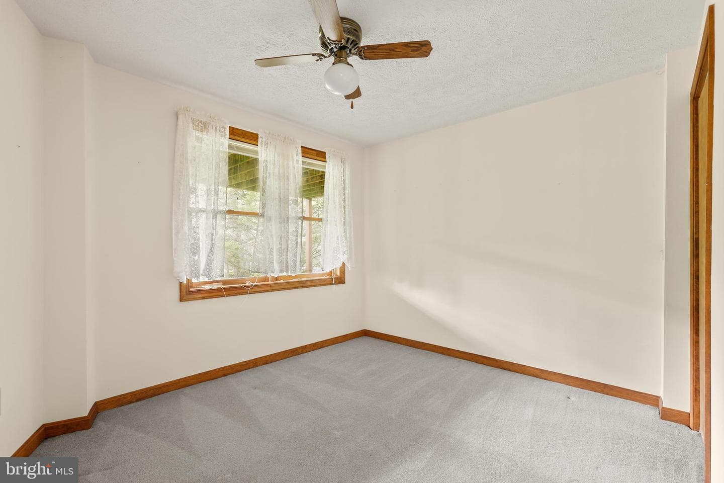 119 Larkspur Lane photo 34