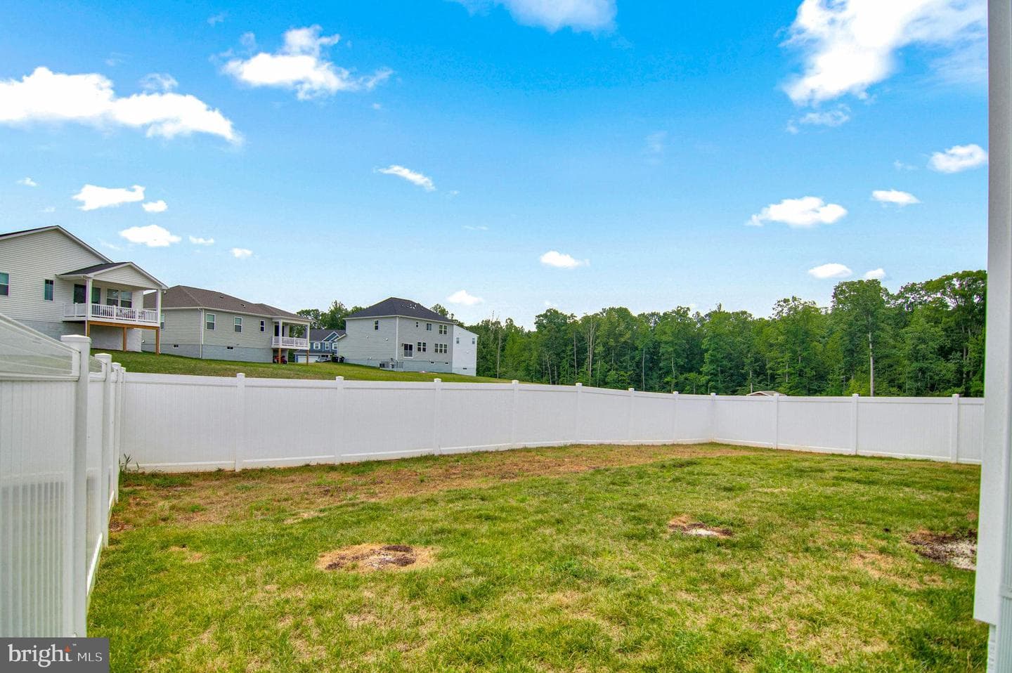 3148 White Tail Drive photo 48