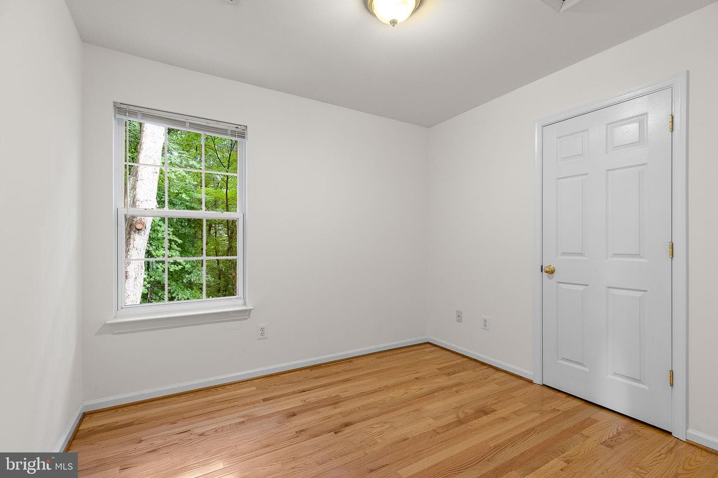 36031 Wilderness Shores Way photo 24