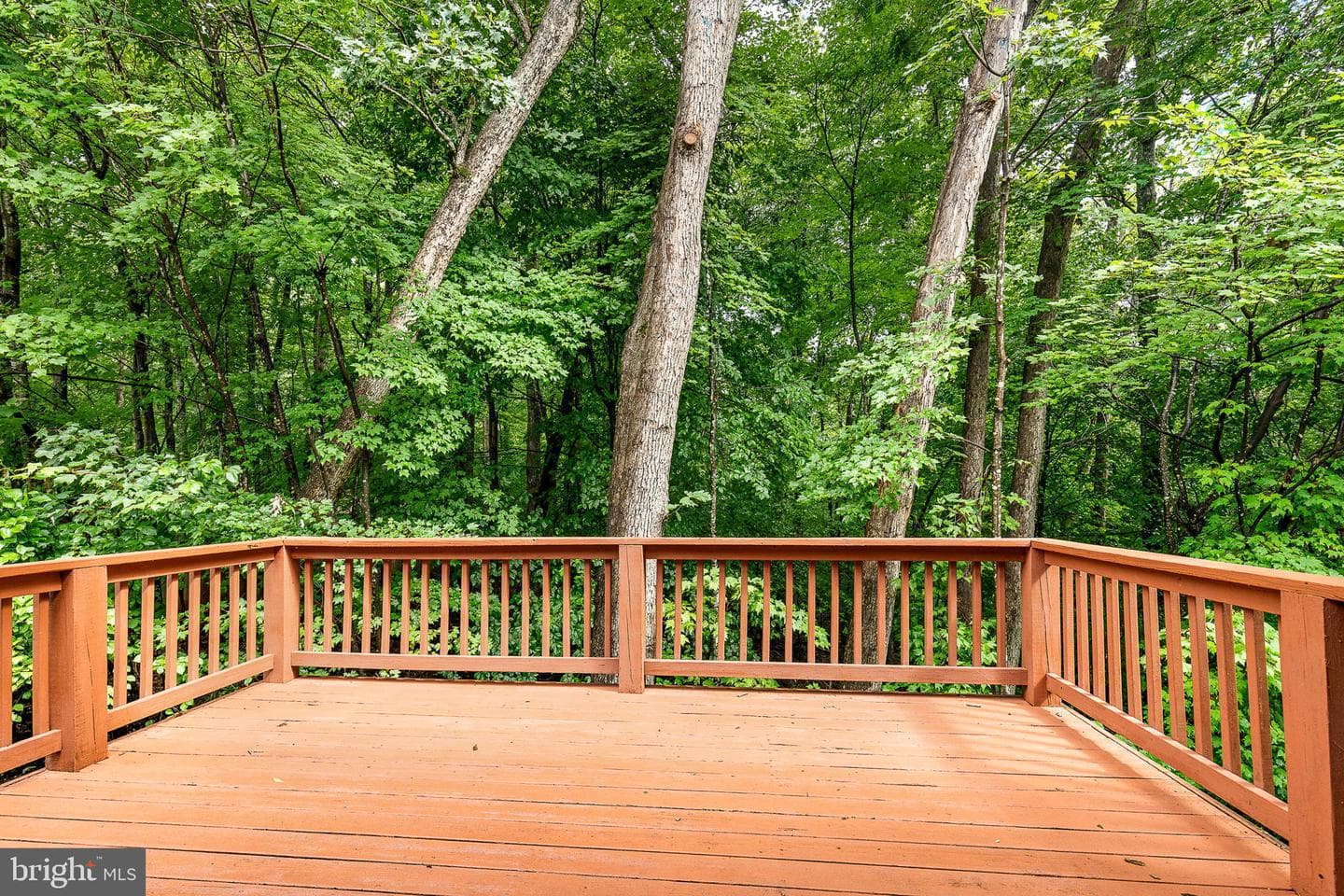 36031 Wilderness Shores Way photo 30