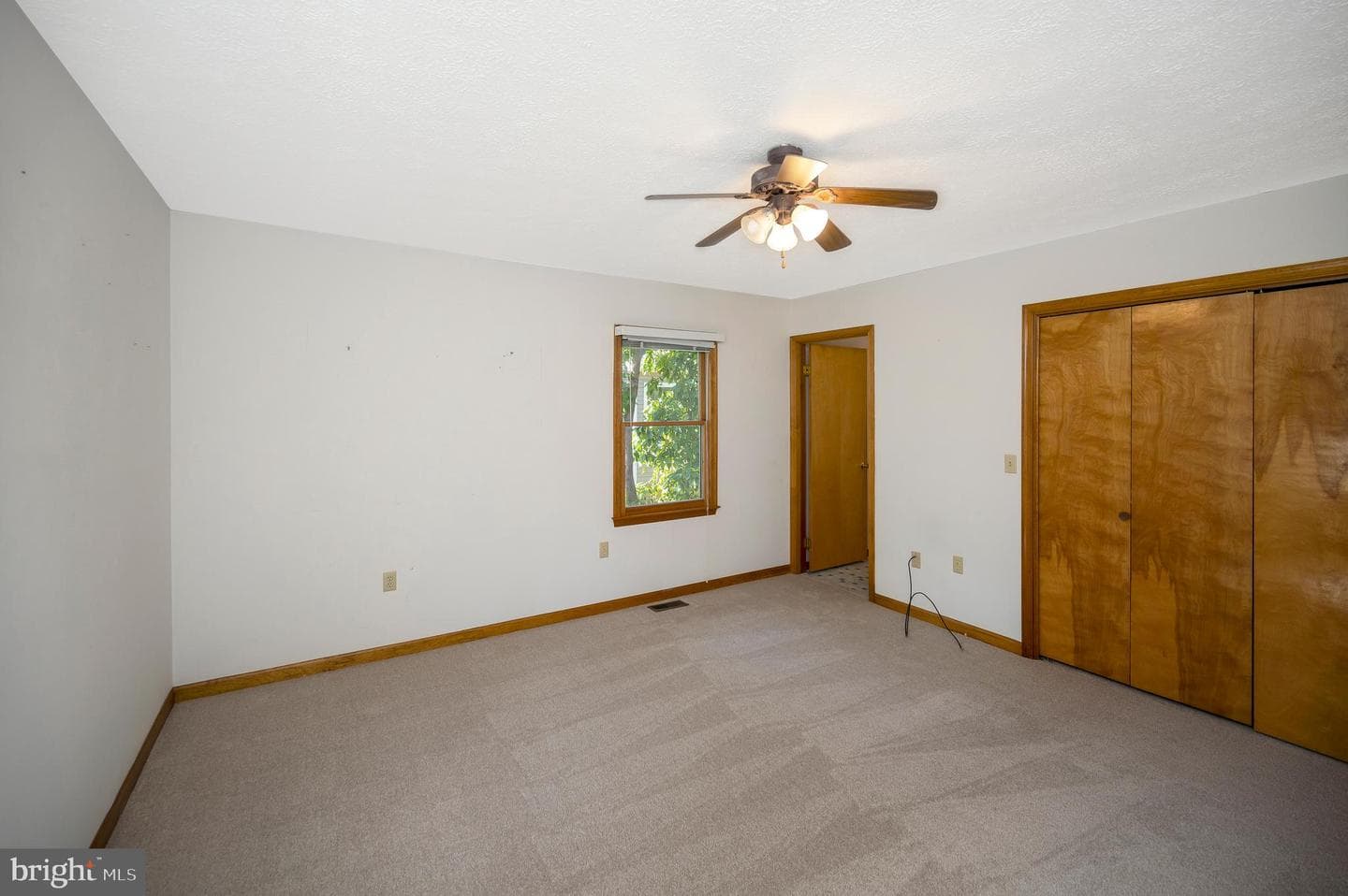 204 Freedom Road photo 14