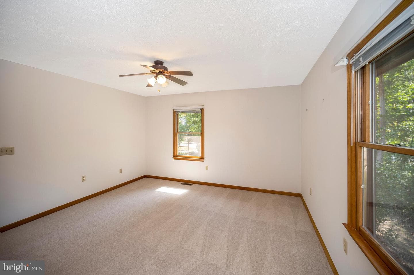204 Freedom Road photo 15