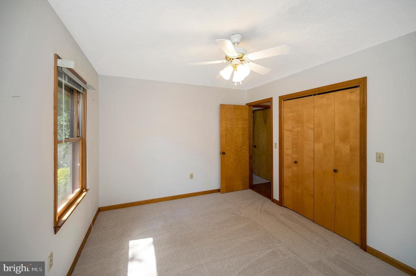 204 Freedom Road photo 18