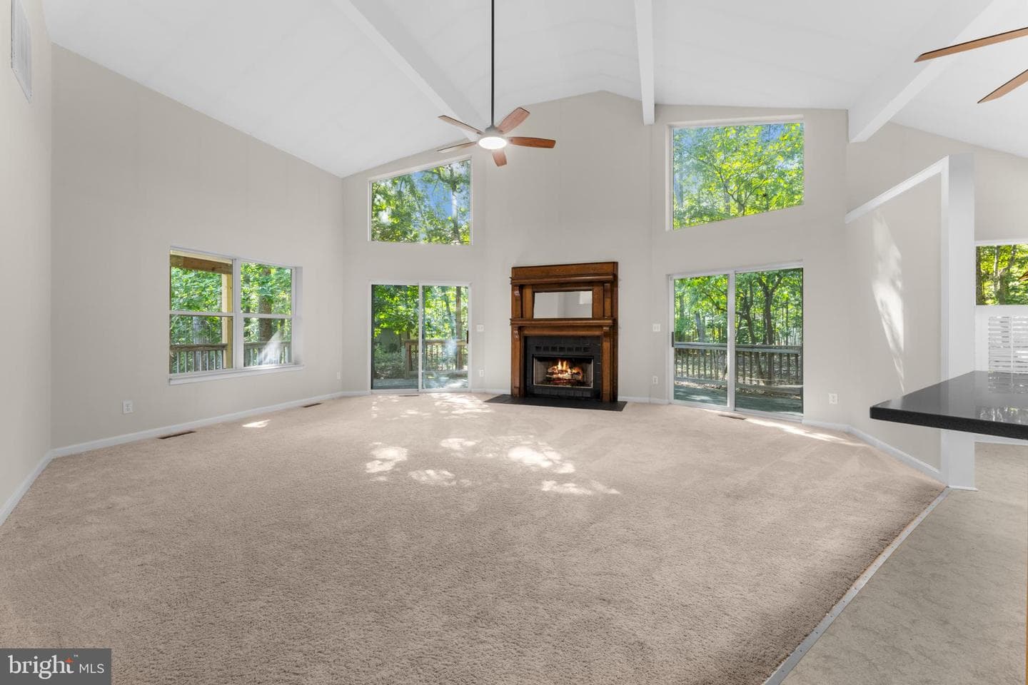 202 Monument Road photo 18
