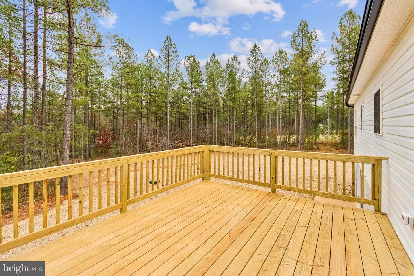 15281 Shirley Rd photo 22
