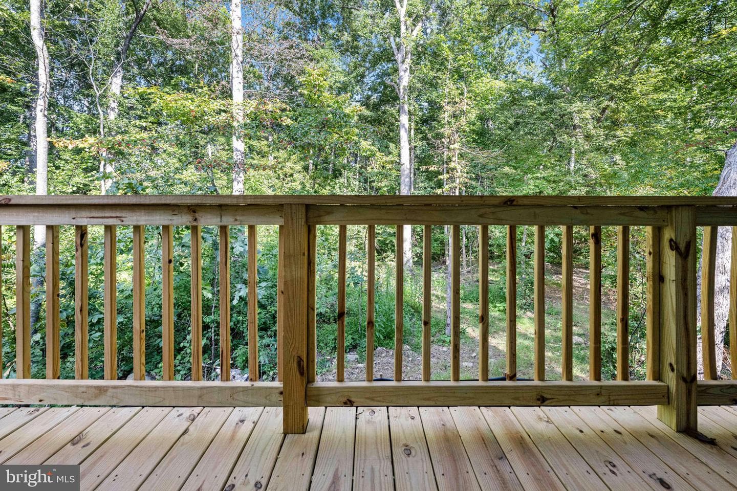 107 Saylers Creek Road photo 28