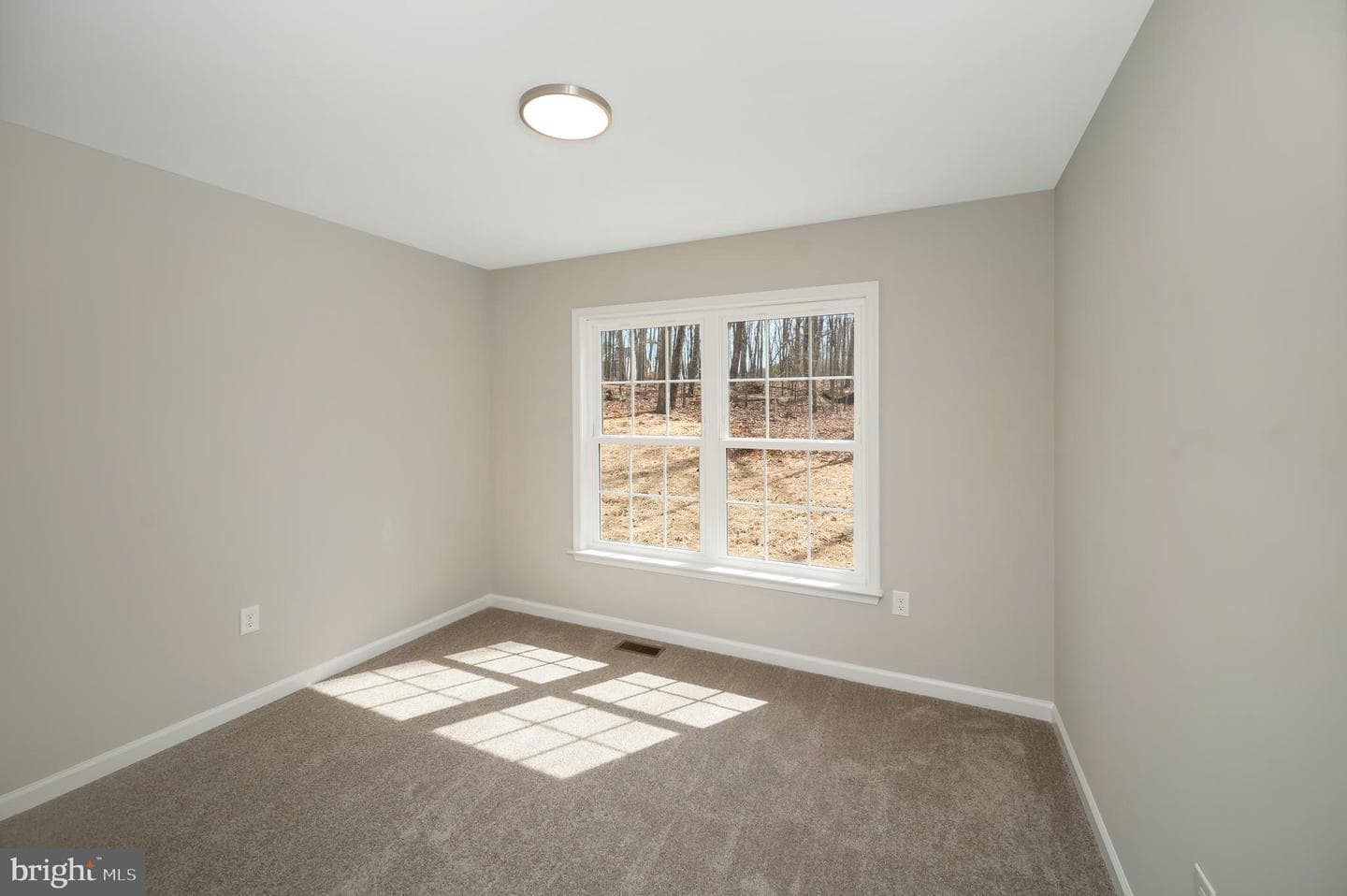 26491 Orange Springs photo 28