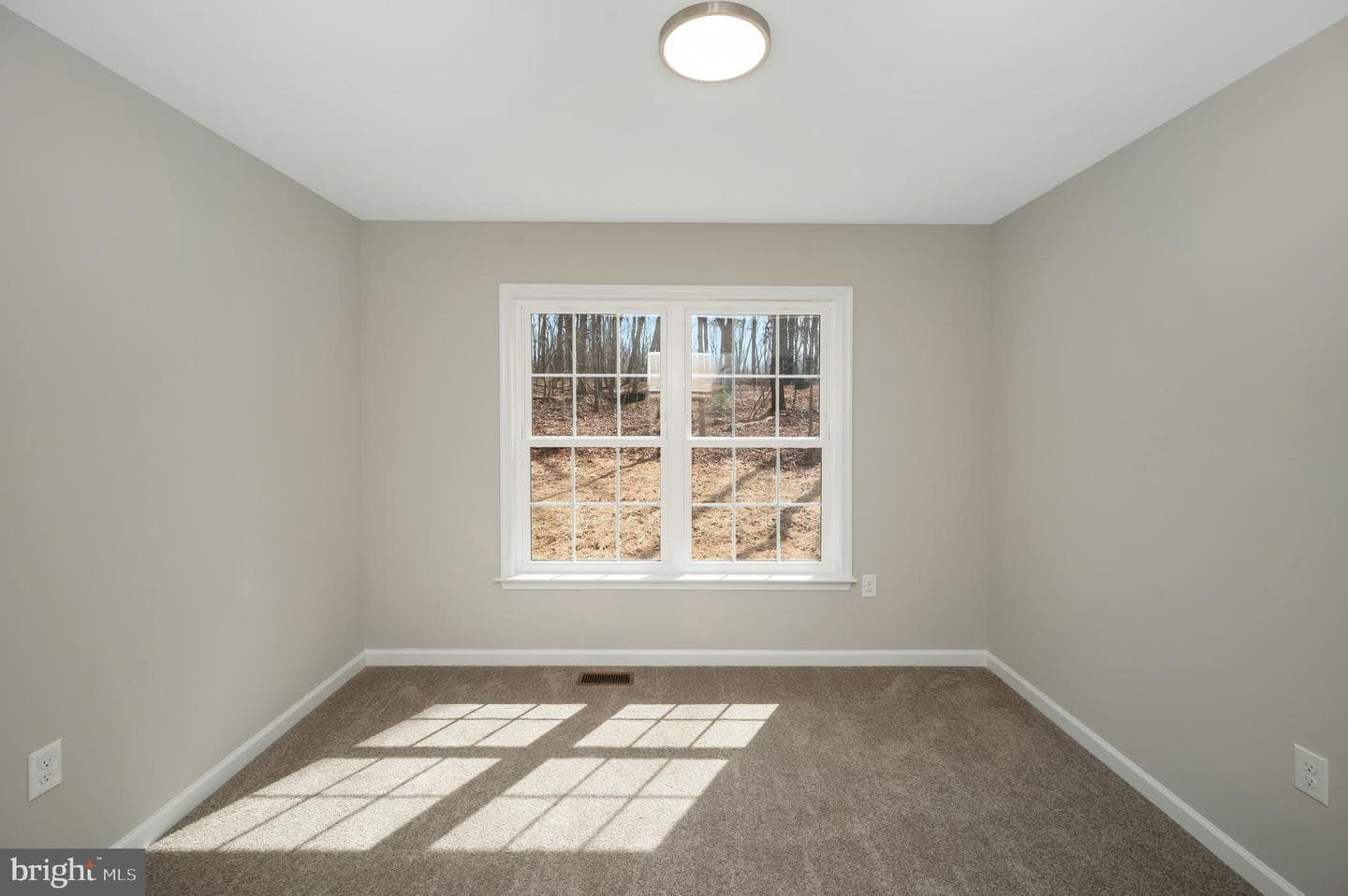 26491 Orange Springs photo 30