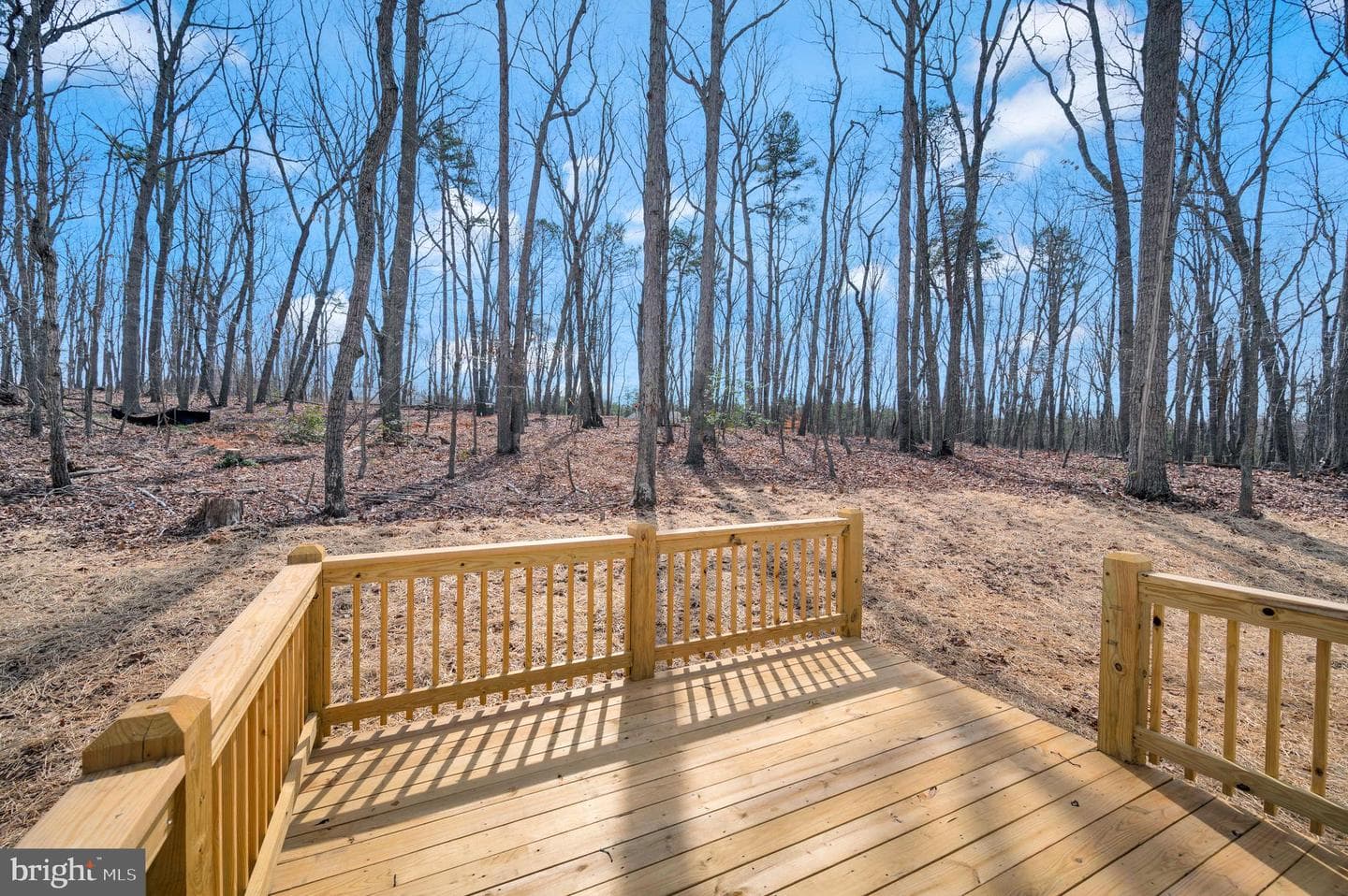 26491 Orange Springs photo 32