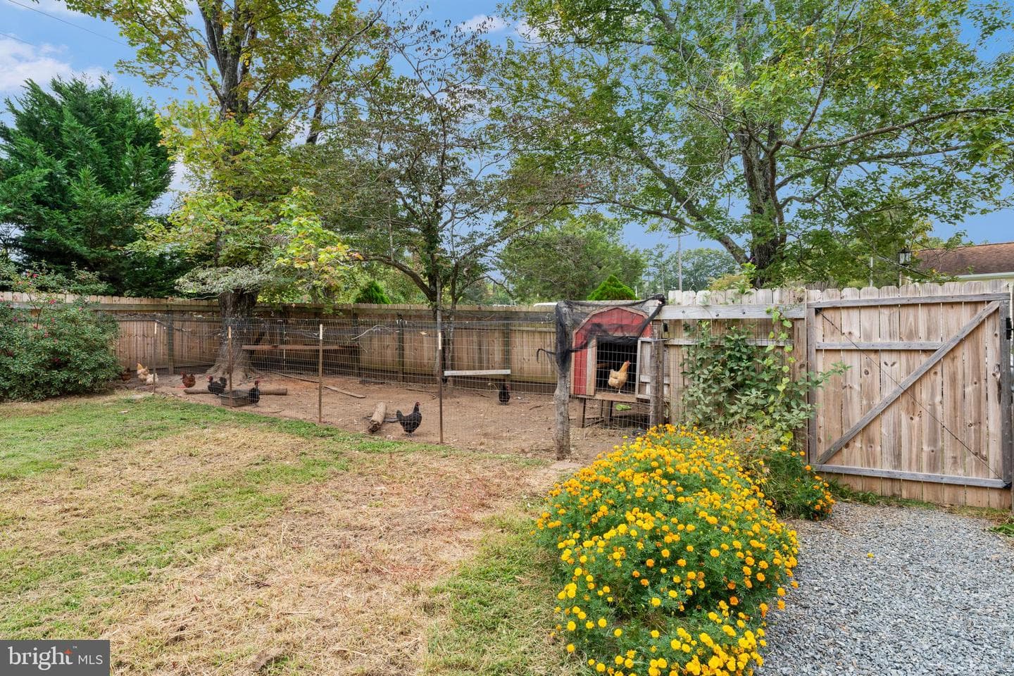 4397 Ridge Rd Road photo 4
