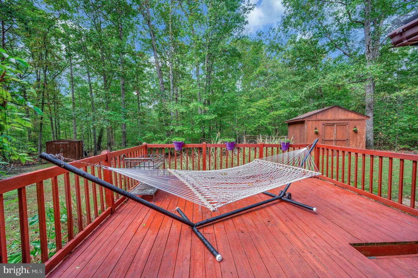 16180 Mountain Track Road photo 42