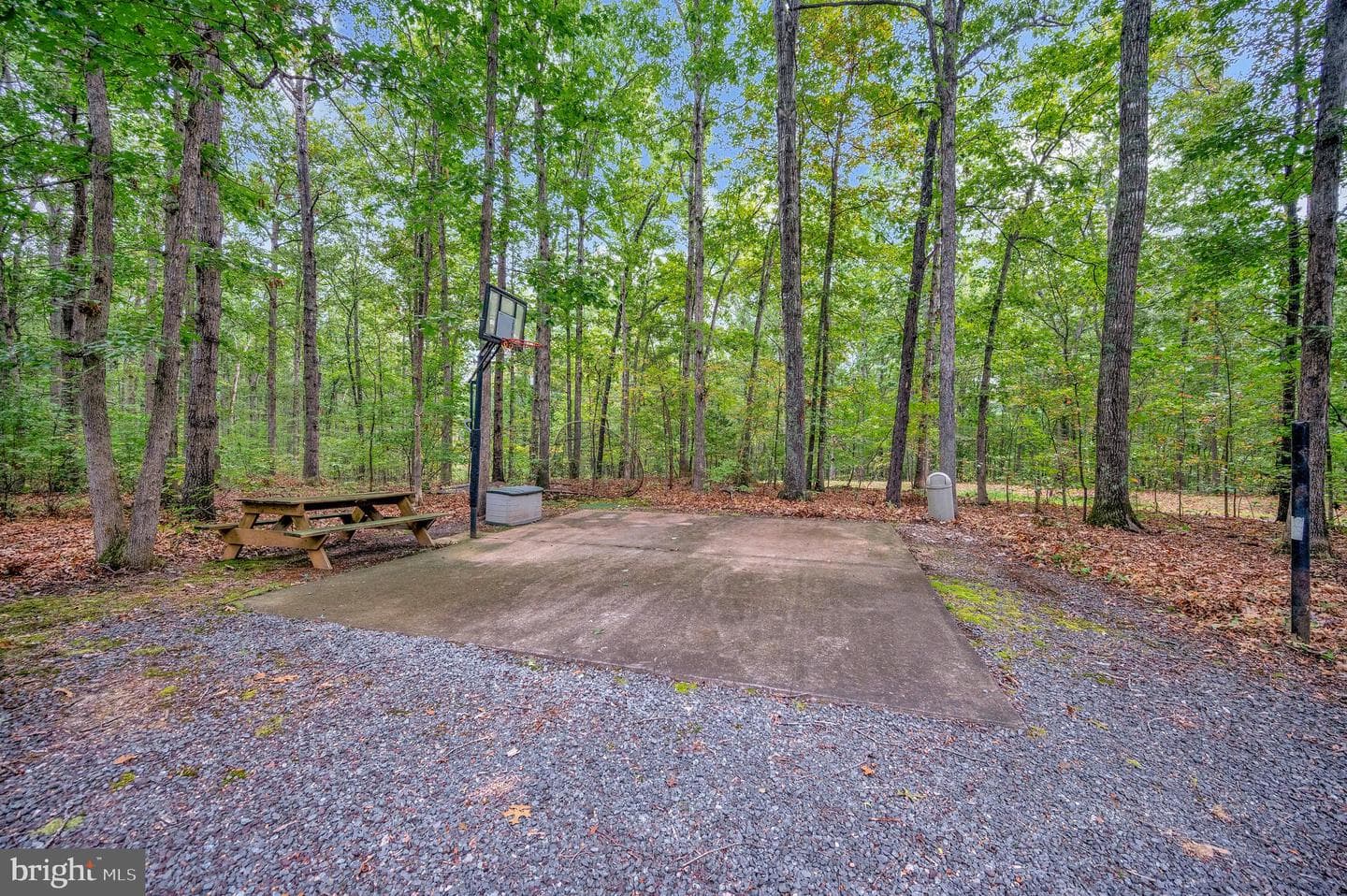 16180 Mountain Track Road photo 46