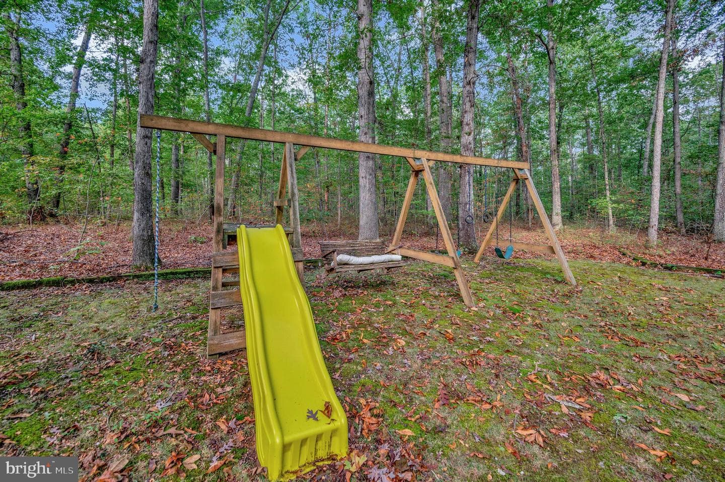 16180 Mountain Track Road photo 49