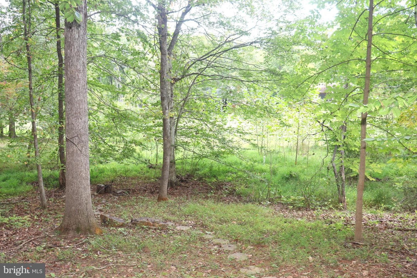 1111 Eastover Parkway photo 52
