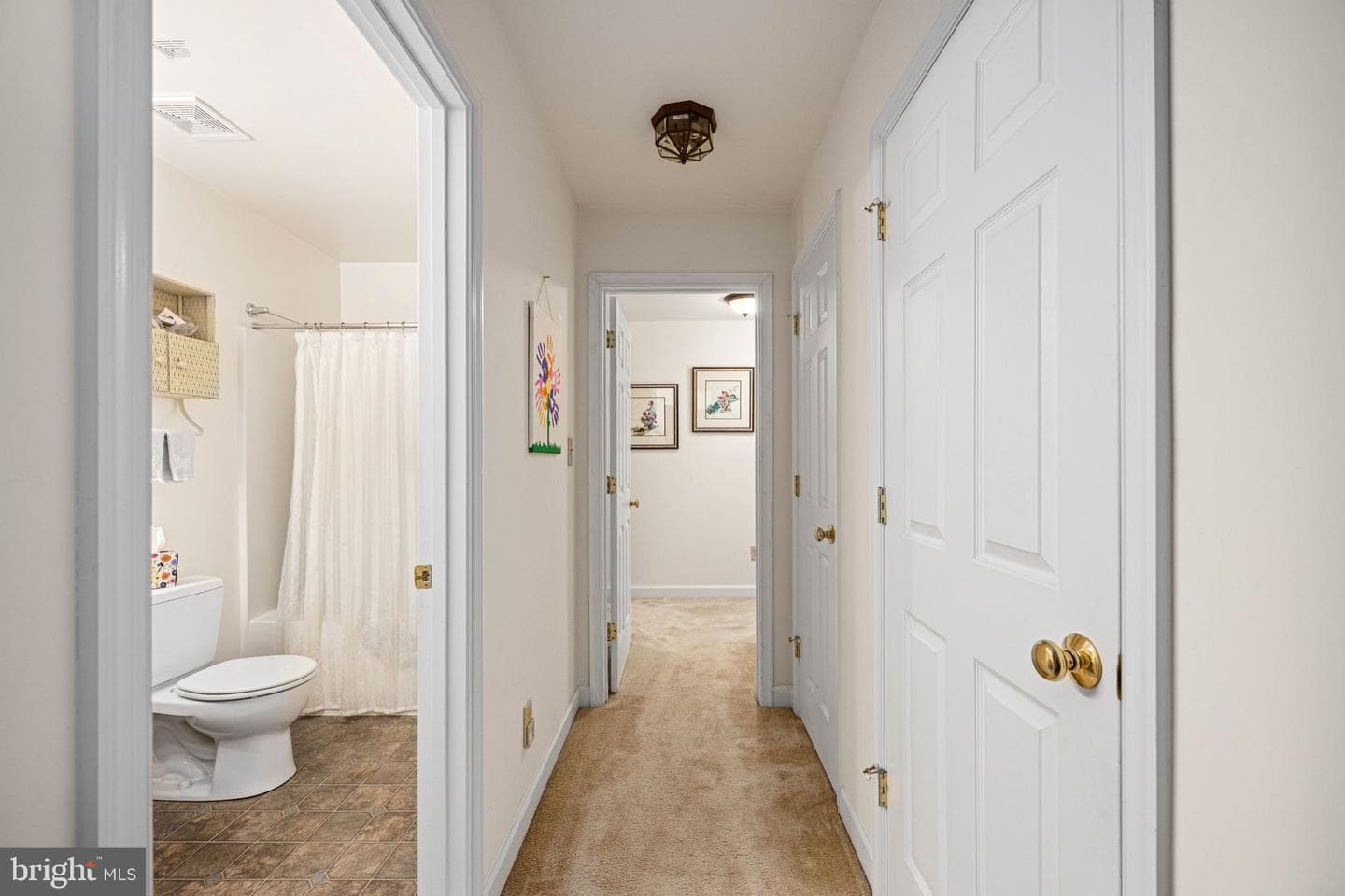 209 Edgemont Lane photo 17