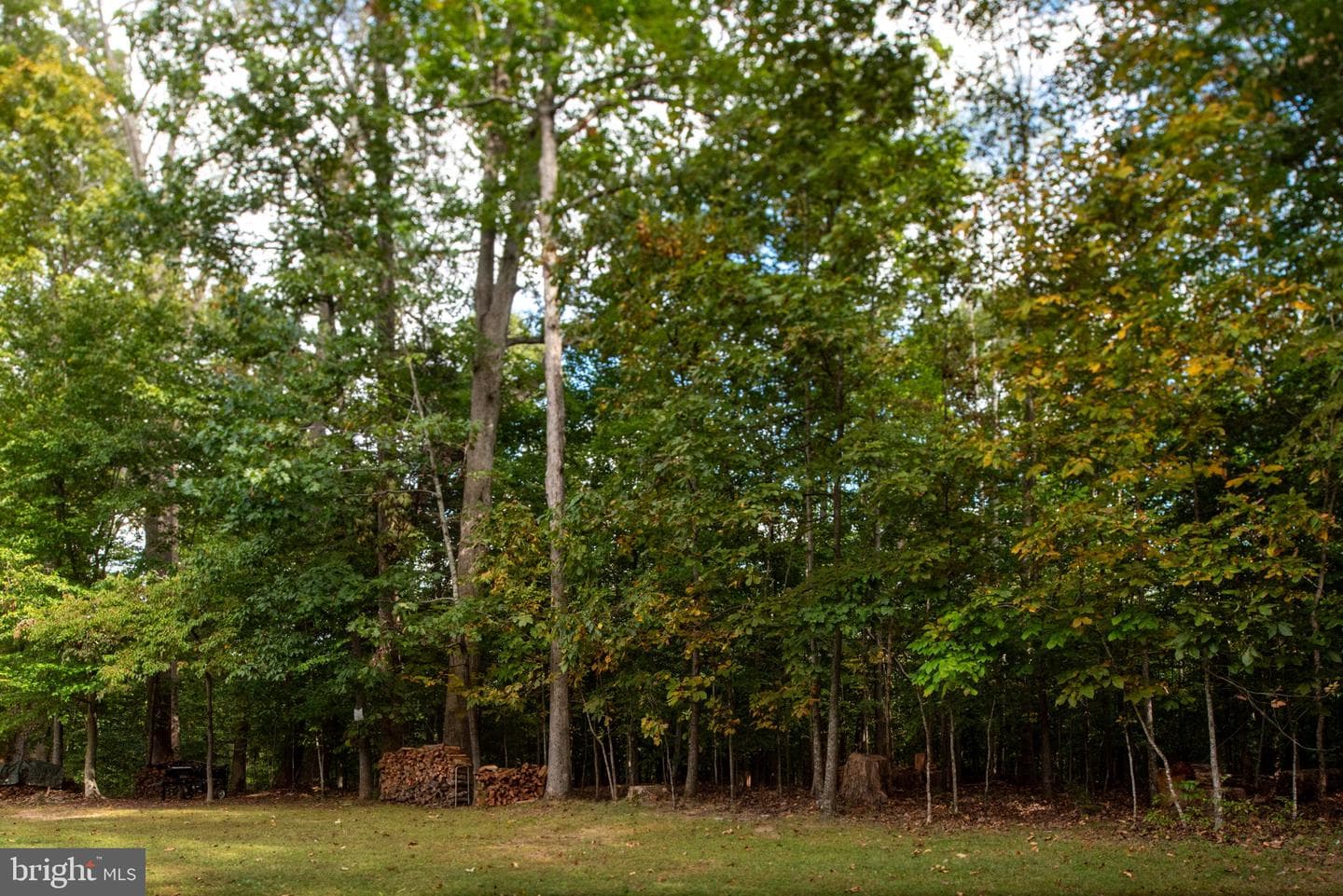 209 Edgemont Lane photo 42