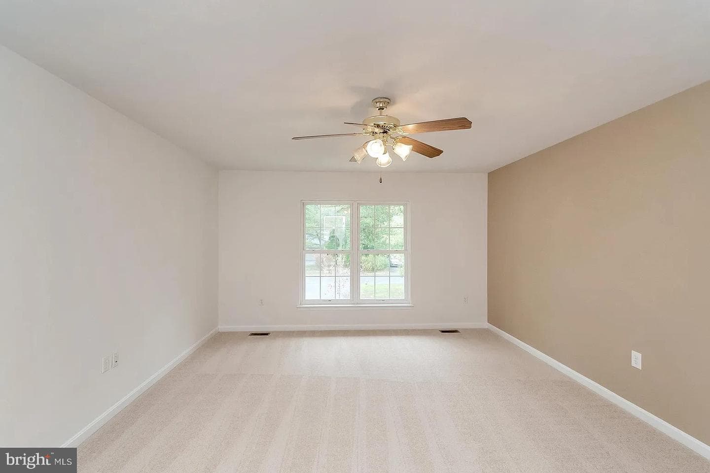 309 Liberty photo 9