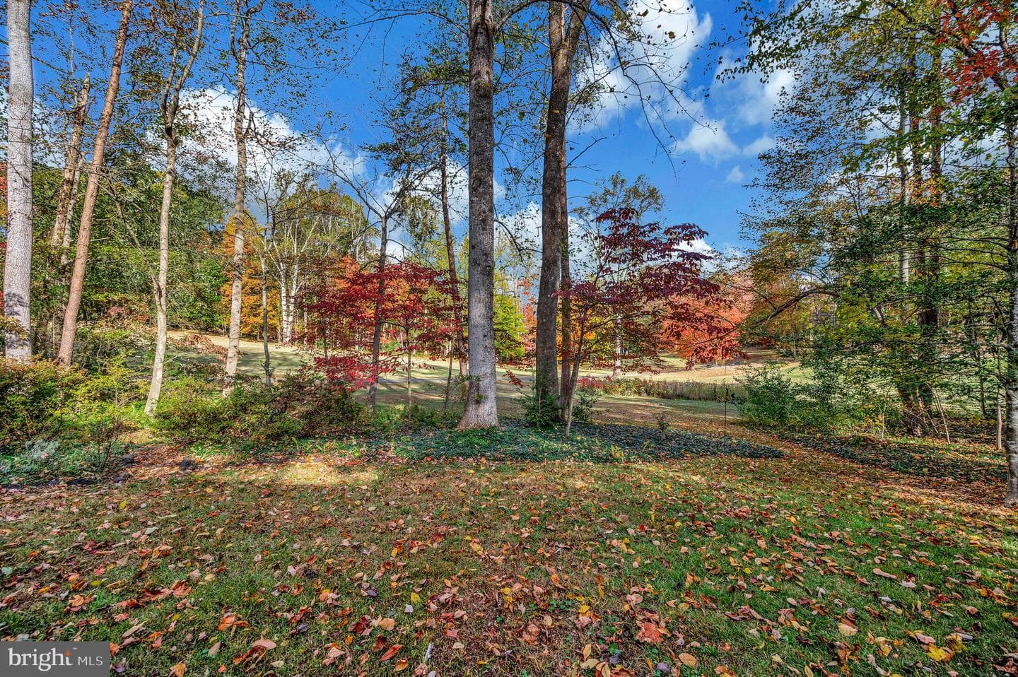 104 Appleview Court photo 46