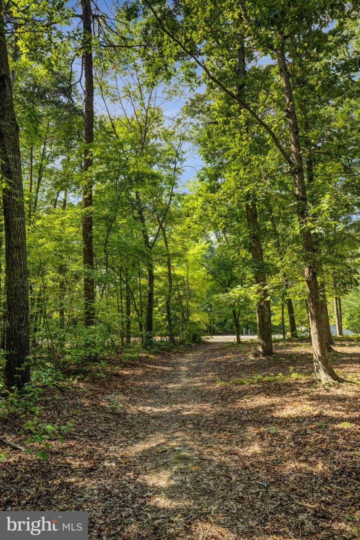 35121 Wilderness Shores Way #lot 633 photo 40