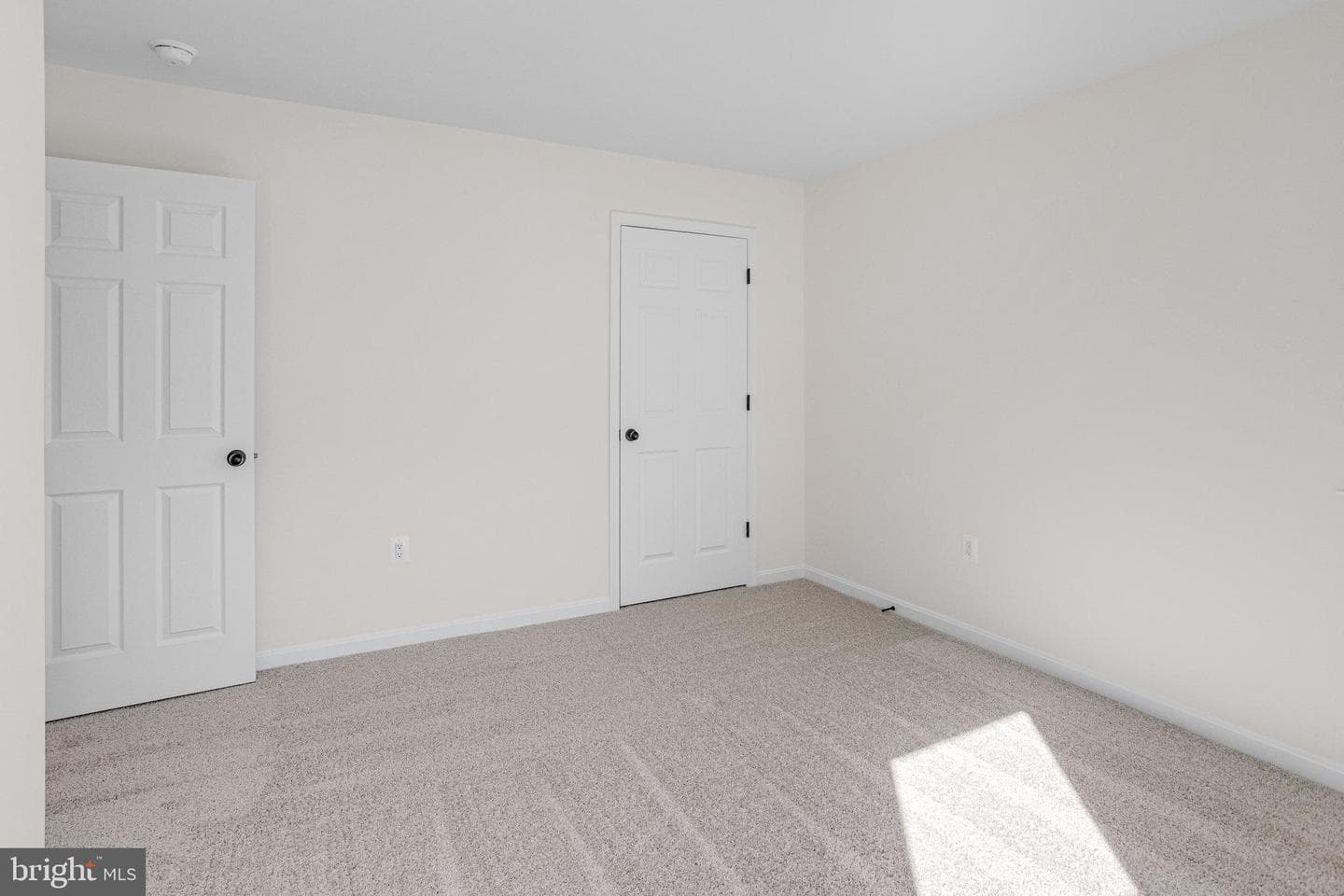 2808 White Tail Drive photo 5