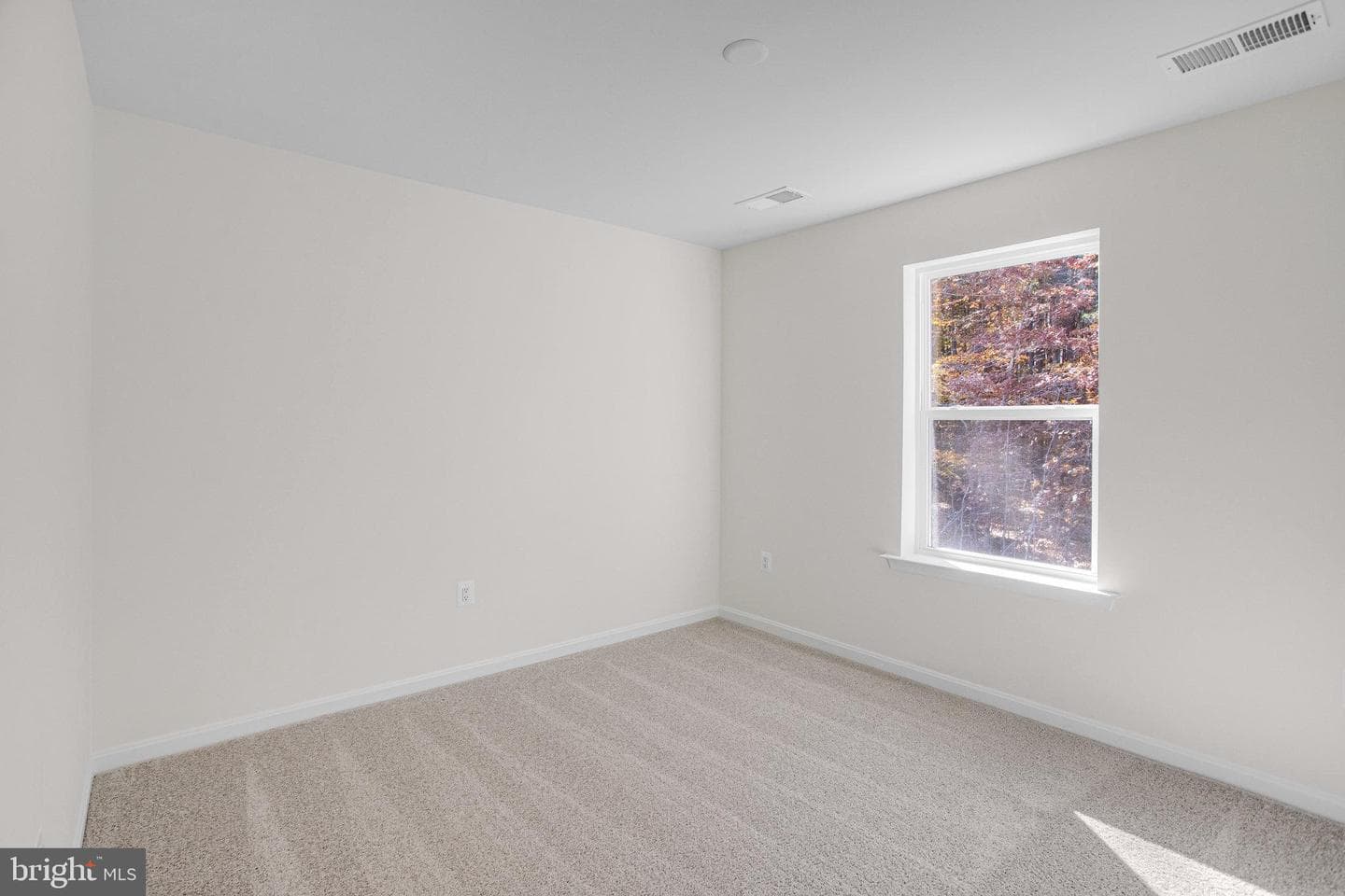 2808 White Tail Drive photo 7