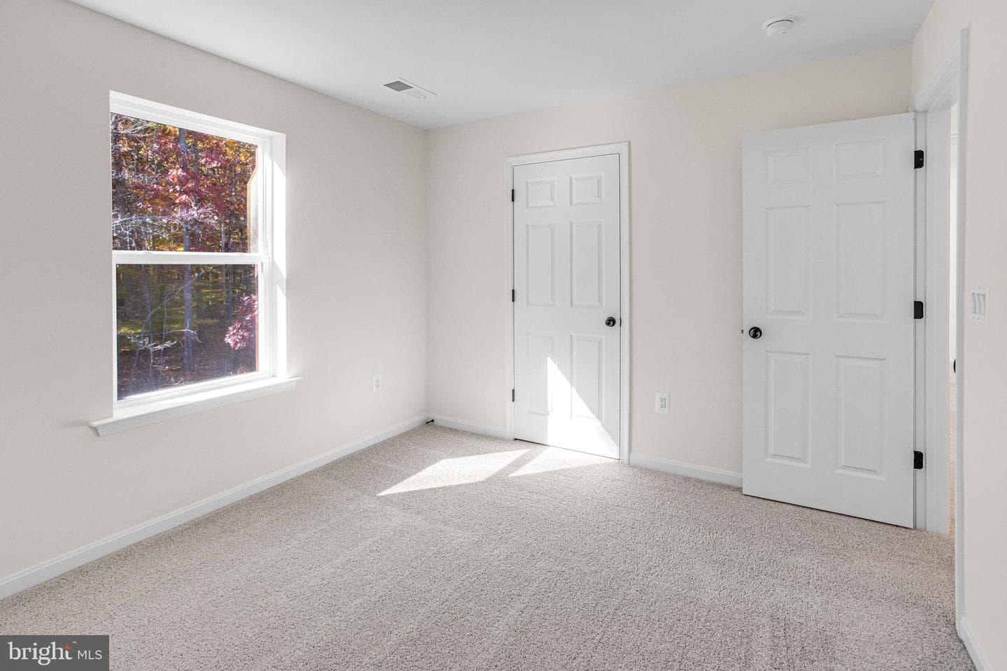 2808 White Tail Drive photo 8