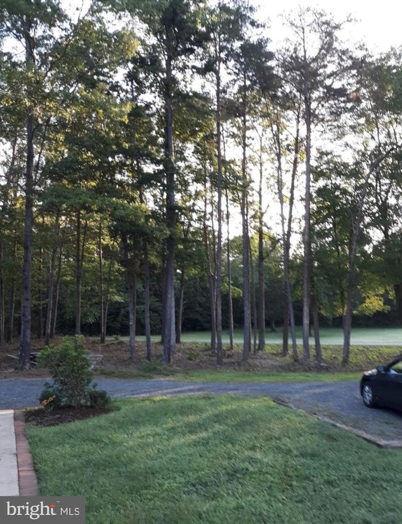 10358 Tower Road photo 4