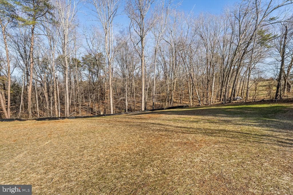 26038 Old Office Road photo 52