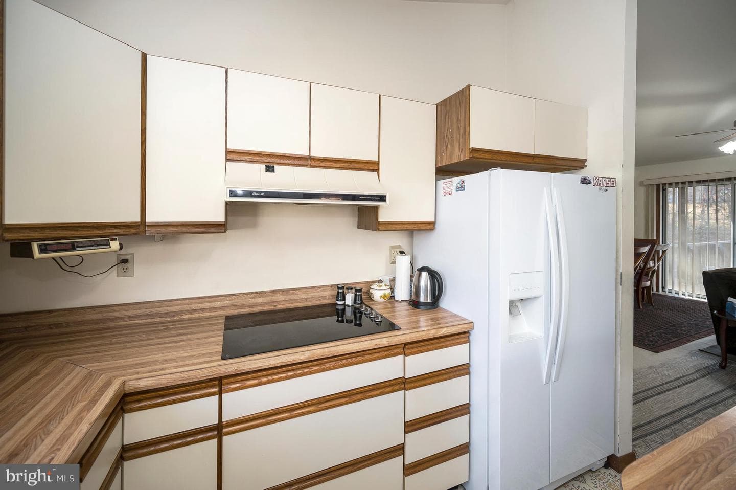 111 Birchside Circle photo 15