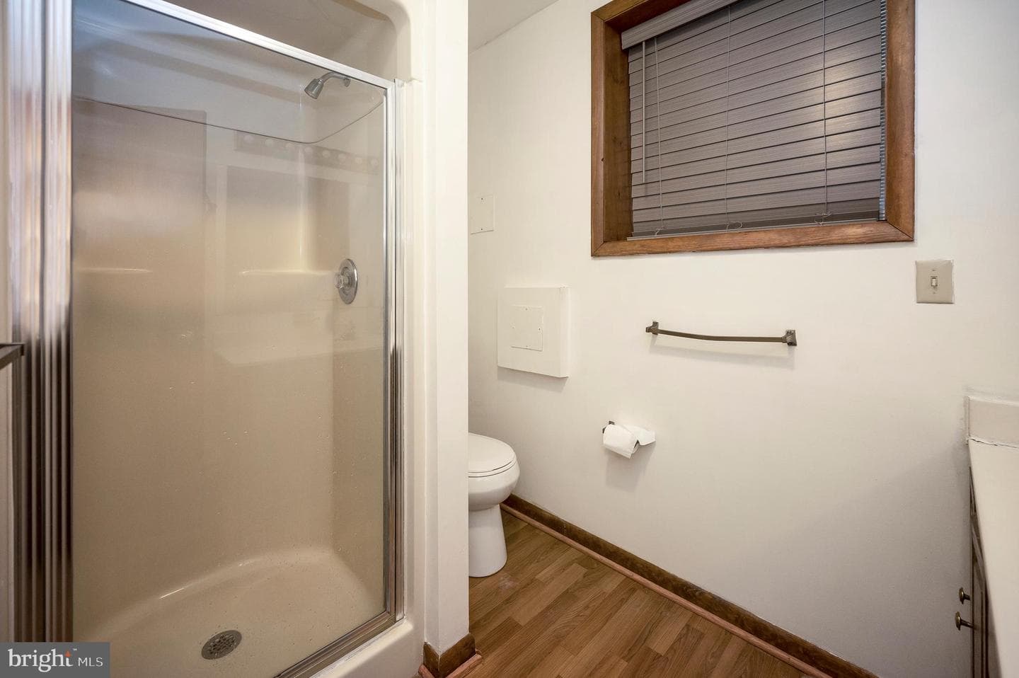 111 Birchside Circle photo 30