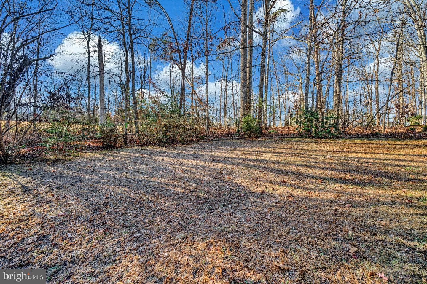 111 Birchside Circle photo 45