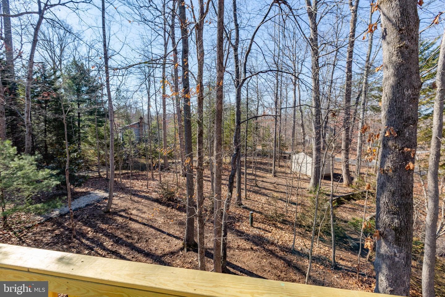 104 Monticello Circle photo 23