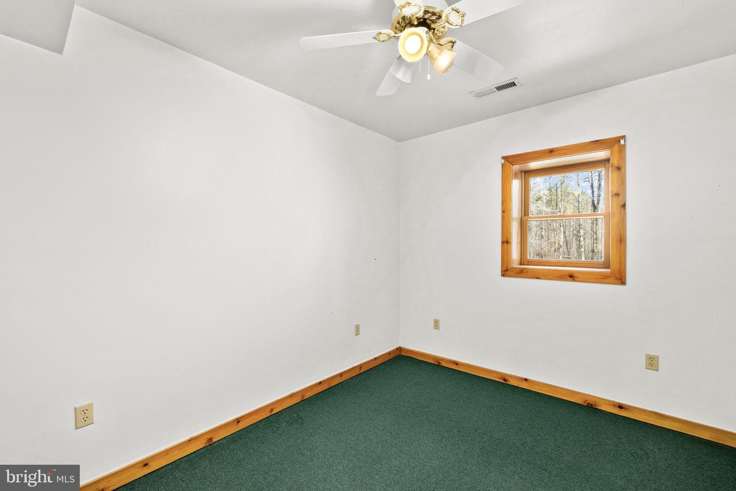 16125 Mountain Track Road photo 33