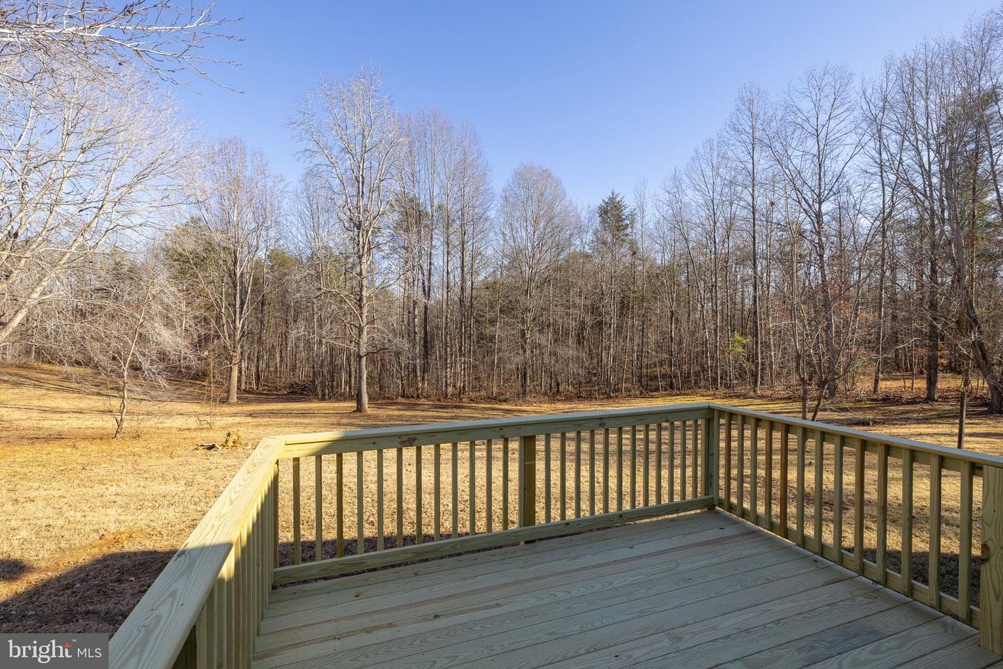 16125 Mountain Track Road photo 39