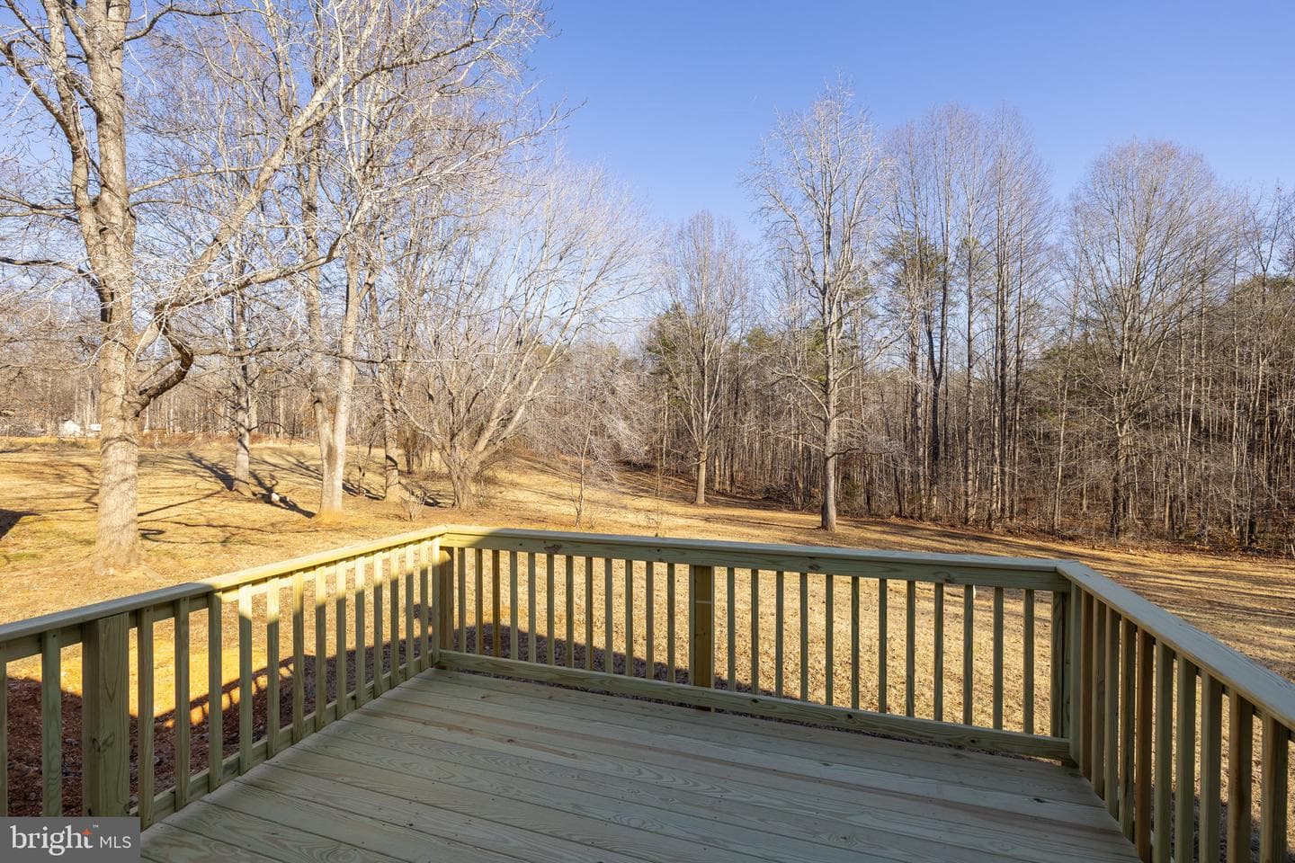 16125 Mountain Track Road photo 41