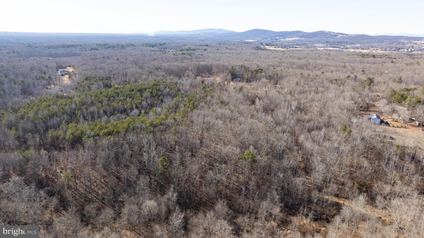 16125 Mountain Track Road photo 49
