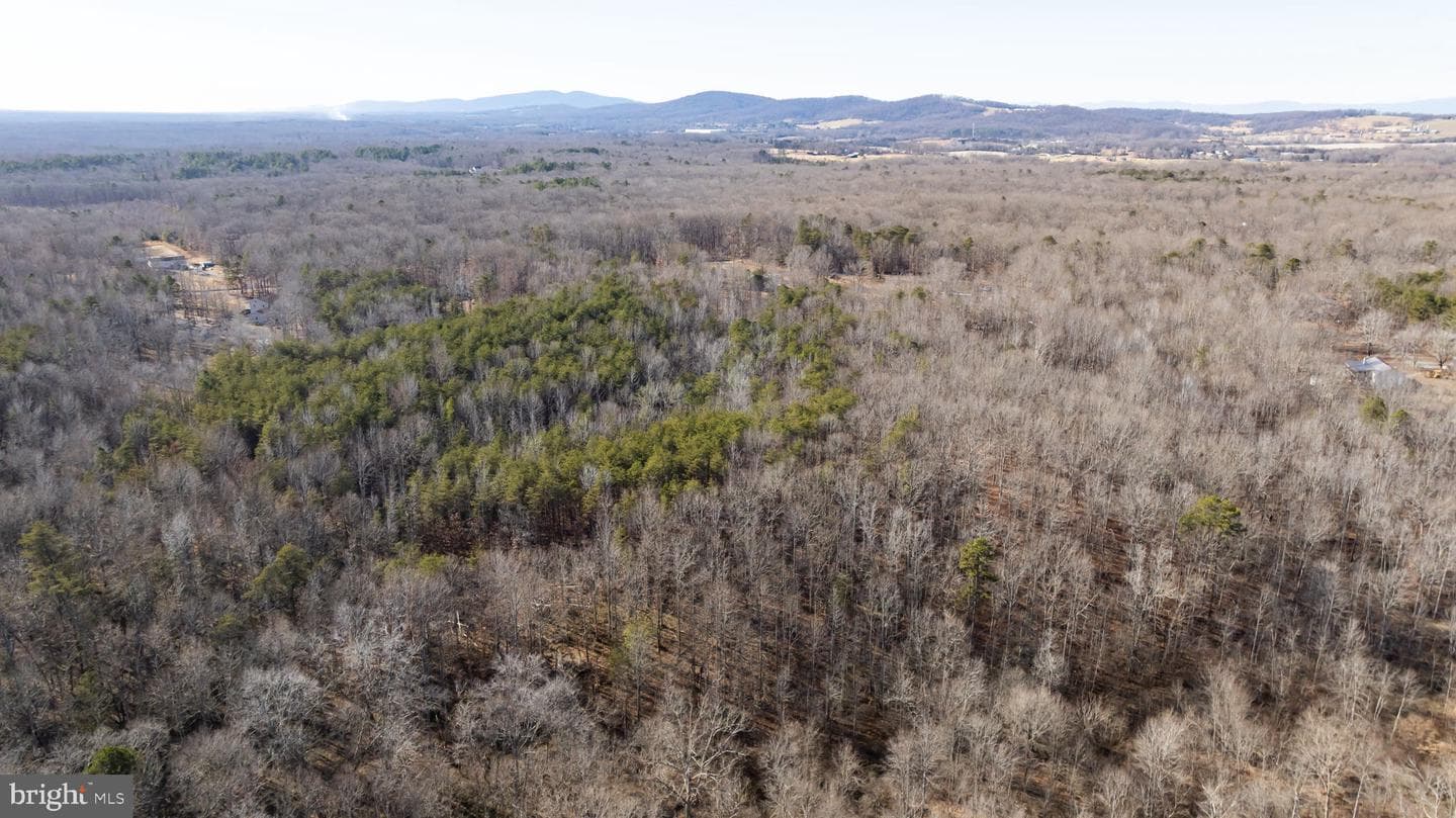 16125 Mountain Track Road photo 50
