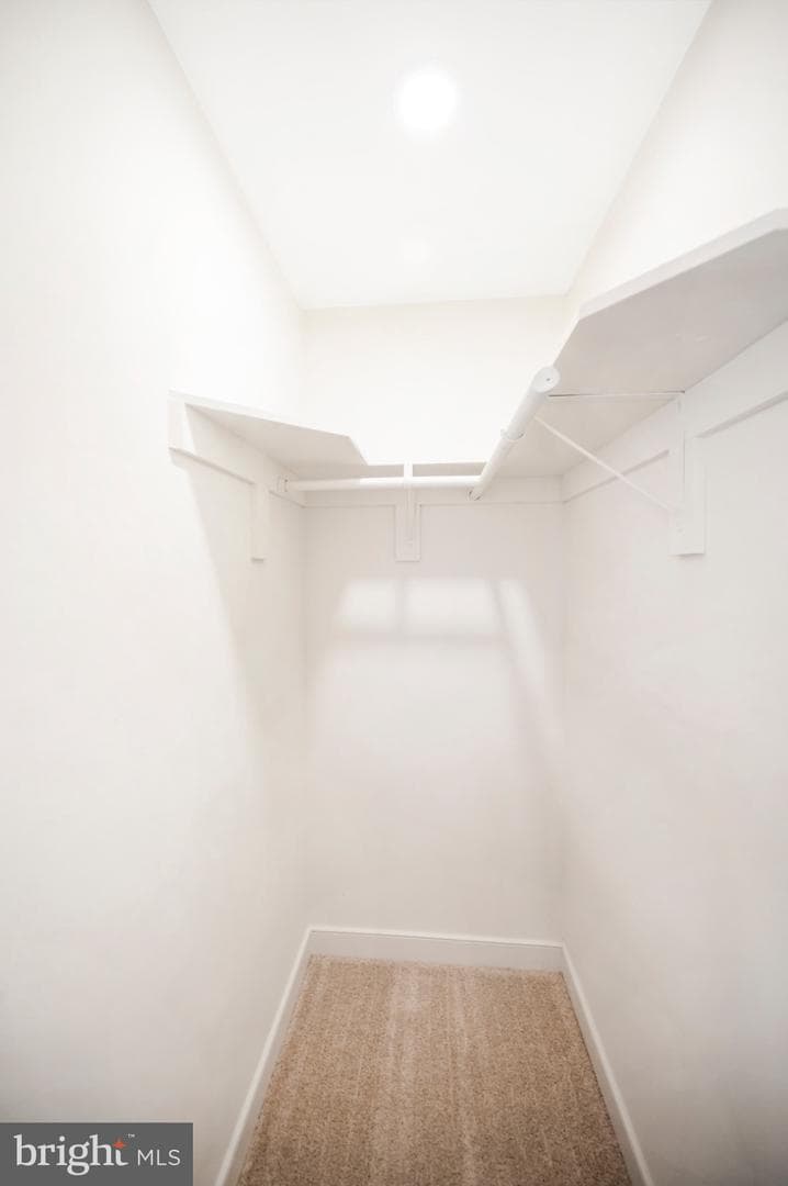 223 Spotswood Road photo 30