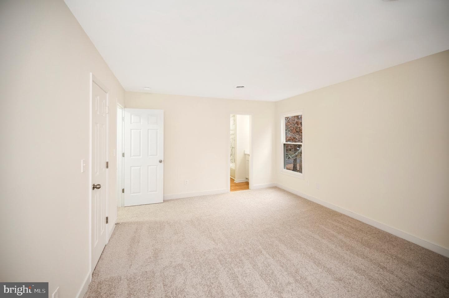 223 Spotswood Road photo 33